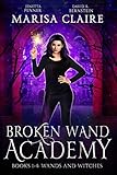 Broken Wand Academy: Books 1-4: Wands and Witches Box Set (Veiled World)