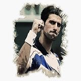 Magnet Novak Djokovic 1 Tennis Magnetic Vinyl Sticker 5"