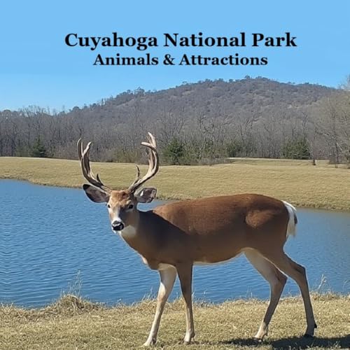 Cuyahoga Valley National Park Animals Attractions Kids Book: Great Children's Book about Cuyahoga Valley National Park