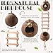 Briwooody Coconut Shell Bird Nest House Breeding Bed Nestingand Anti-pecking Bite with Natural Coir Fiber Bird Nest Toy Bell for Parrot Budgie Parakeet Cockatiel Conure Lovebird Canary Finch (Stylish)