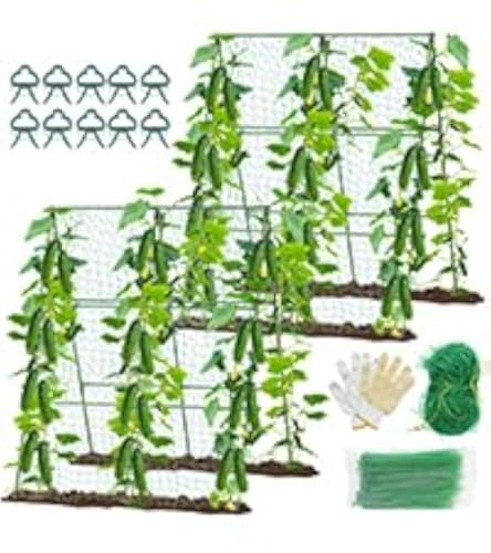 55" H x 36" W Cucumber Trellis for Raised Bed