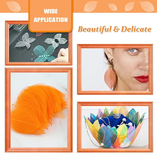 Hojas Secas Naturales Naranja para Artesanía Pack 42 miniatura 5