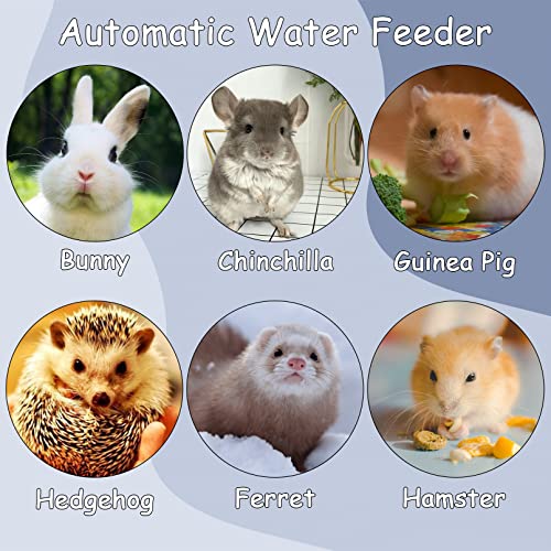 Hydratation constante avec le bol d'eau automatique pour lapin Tfwadmx