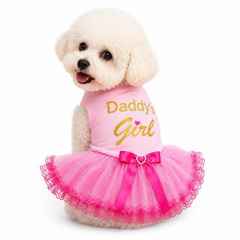 Robe pour chiot rose en dentelle Daddy's Girl taille XL pour petit chien