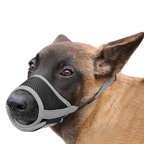 HEELE Maulkorb Für Hunde, Verstellbare Schlaufe, Atmungsaktiv, Sicherer, Schneller Sitz Für Kleine, Mittelgroße Hunde, Verhindert Das Beißen, Kauen Und Bellen (M, Grau)