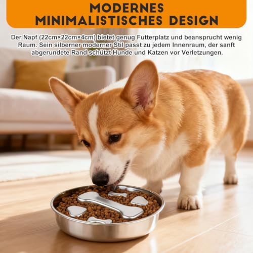 Antischlingnapf Hunde Edelstahl - Anti Schling Napf Hund Ø22cm Slow Feeder aus 304 Edelstahl, Metall Schlecknapf für Schnelle Esser, Spülmaschinengeeignet & Langlebig, für mittelgroße Hunde