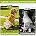 CZMIYRPY 3 Pack Washable Dog Diapers Female with Suspenders Diaper for Dogs Reusable Dog Diapers Dog Period Panties for Doggie in Cycle (X-Small for Puppies)