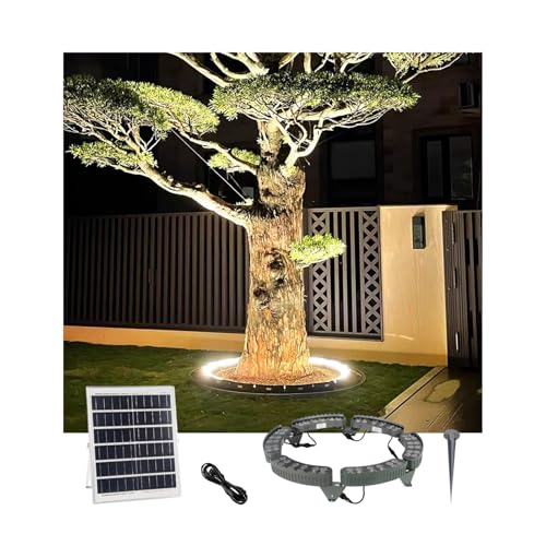Anneau lumineux solaire d'extérieur avec télécommande pour pelouse