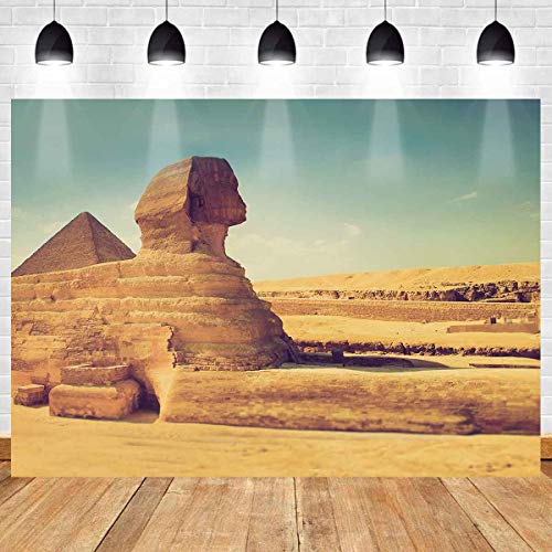 MEETSIOY 7x5ft World Famous Architecture Backdrop Egyptian Sphinx Background Photo Booth Studio Props Theme Party Backdrop MT415