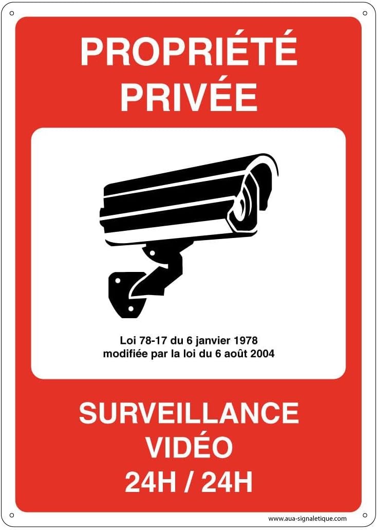 202045-AI-p-210×300 Pre-Drilled Panel, 24 Hour Video Monitoring, 210×300 mm