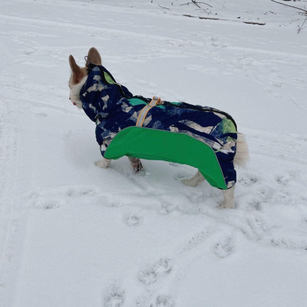 Imperméable imperméable pour Petit Chien avec Pattes, imperméable pour Chiot réglable avec Trous pour Bandes réfléchissantes(Color:2,Size:L)