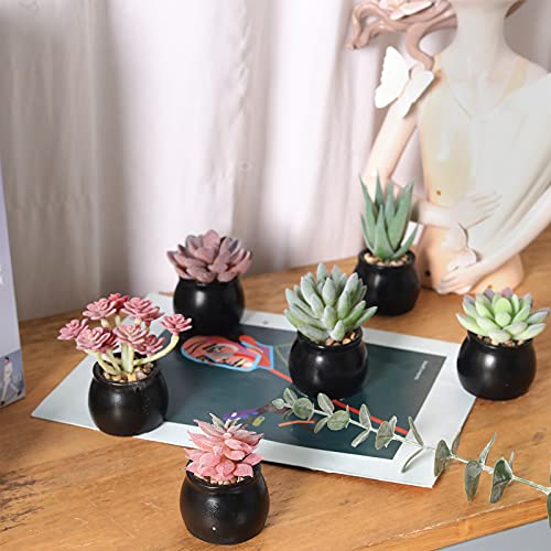 Nubry Mini Fake Plants In Ceramic Pots Artificial Small Succulents Potted Faux Assorted Lifelike Plants For Home Office Desk Decor, Set Of 6 (Black Ceramic Pots) #TOP3