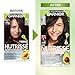 Garnier Hair Color Nutrisse Ultra Coverage Nourishing Creme, 400 Deep Dark Brown (Sweet Pecan) Permanent Hair Dye, 3 Count (Packaging May Vary)