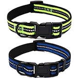 Material: PET Nylongewebe mit reflektierendem Material 3m, leichte und haltbare Schnalle, starker Gunmetalring