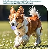 Favuit Hundeball Unzerstörbar, 6 Stück Hundespielzeug Ball Set Quietschend Dauerhaftes Jagdbälle Hunde Spielzeugbälle Schwimmfähig für Aggressive Kauer Kleine und Mittelgroße Hunde