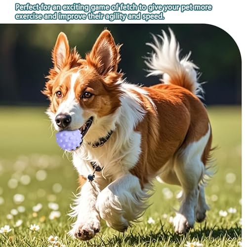 Favuit Hundeball Unzerstörbar, 6 Stück Hundespielzeug Ball Set Quietschend Dauerhaftes Jagdbälle Hunde Spielzeugbälle Schwimmfähig für Aggressive Kauer Kleine und Mittelgroße Hunde