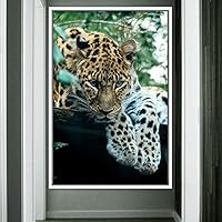 Framed Canvas Wall Art Cheetah Animals Cheetah Dramatic Living Room Multicolor Photography - 16x24 inches