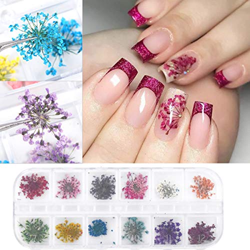 Dokpav 2 Schachteln Getrocknete Blumen für Nailart, 24PCS Getrocknete Blumen Grüne Blätter Set Nagelapplikation 3D Nail… – Bild 6