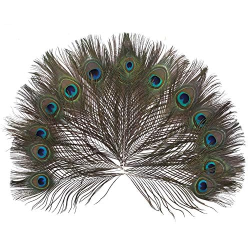 Swastik Enterprises Natural Peacock Feathers – Ideal for Temple, Krishna Dress, Dance Props, and Craft Decoration | for DIY Craft Floral Arrangements,Wedding,Home (Pack of 30 Pcs)-image-28