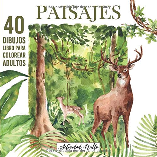 Paisajes para Colorear Adultos: Dibujos para Pintar o Colorear | Libro Antiestres para Colorear | Colorear Naturaleza Montañas Bosques Llanuras ... Coloreando | Arteterapia para Adultos.