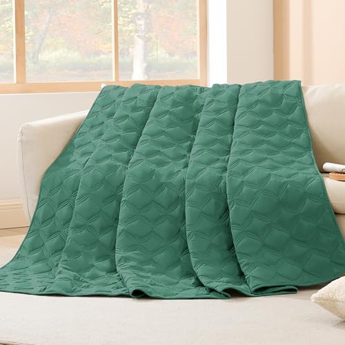 Image of Litanika Queen Quilt Bedding Set, Haze Green Summer Lightweight Soft Comforter Bedspreads & Coverlets, Boho Farmhouse Bedding Cover Bed Decor All Season, 3 Pieces (1 Quilt, 2 Pillowcases)
