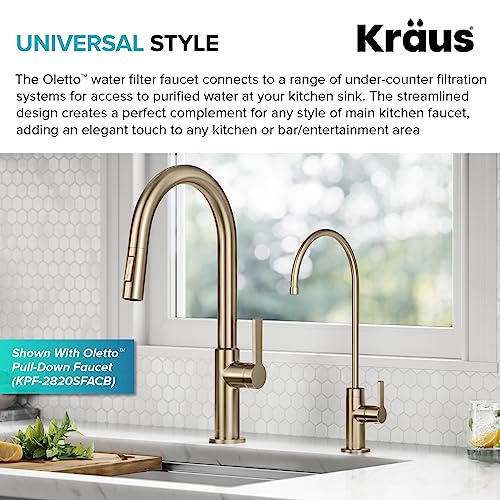 Image of KRAUS Oletto Single Handle Drinking Water Filter Faucet for or Water Filtration System in Spot-Free Antique Champagne Bronze, FF-103SFACB