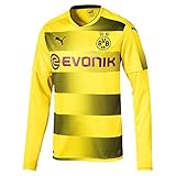 Gewebtes, offizielles BVB Emblem