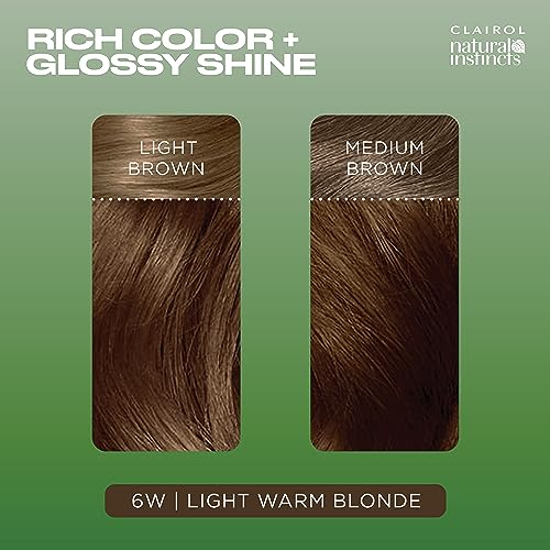 Image of Clairol Natural Instincts Demi-Permanent Hair Dye, 6W Light Warm Brown | Ammonia‑Free, Vegan Hair Color with Coconut Oil & Aloe Vera | Pack of 3