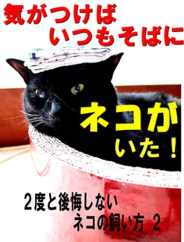 気がつけばいつもそばにネコがいた 2度と後悔しないネコの飼い方2 平井 得雄 Kindle本 Kindleストア Amazon