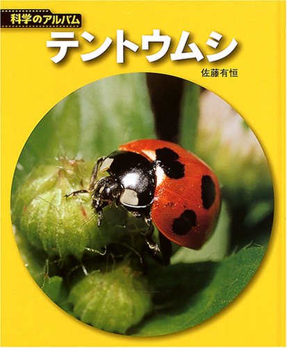 51CF00X3JQL.jpg