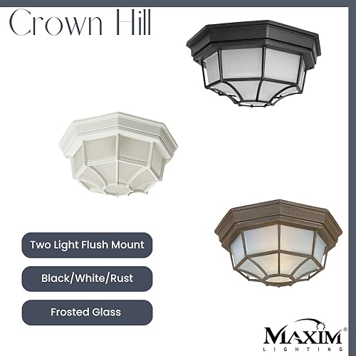 Miniatura 3 de Maxim 1020WT Crown Hill - Bombilla LED compatible con cristal esmerilado de aluminio para exteriores, 120 vatios, I blanco I de estilo americano