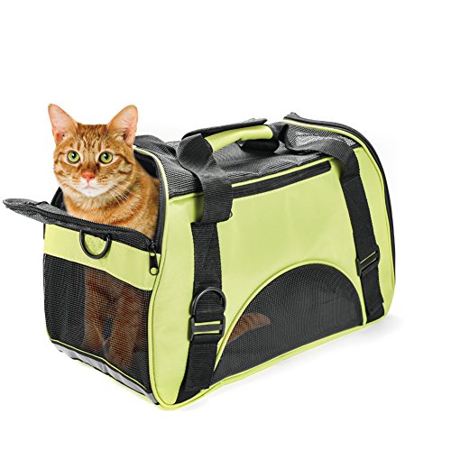 Huanxu Pet Carrier For Small Dogs, Cats, Puppies, Kittens Airline Approved Under Seat Soft Sided Travel Bags Under Size 17.3" X 7.9" X 9.8"(Green) #TOP4