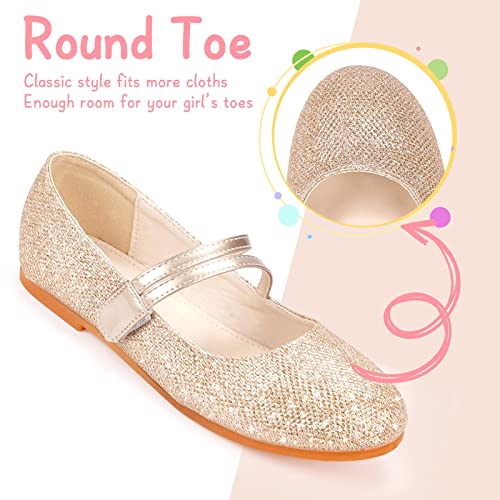 Girls Flats Mary Jane Shoes Dress Shoes for Girl Ballet Flats Back to School Princess Wedding Shoes (Little Kid/Big Kids)2