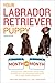 Your Labrador Retriever Puppy Month by Month, 2nd Edition: Everything you need to know at each stage to ensure your cute & playful puppy grows into a happy, healthy companion