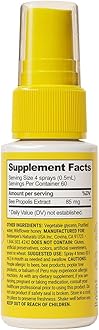 Bee Propolis Throat Spray by Beekeeper’s Naturals | Premium 95% Bee Propolis Extract | Natural Throat Relief and Immune Support | Great for Kids : Bee Propolis Spray