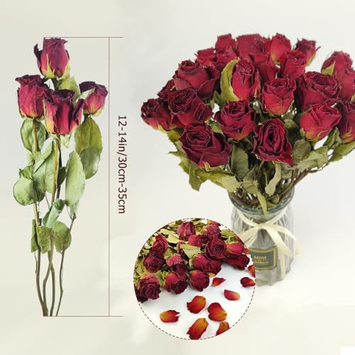 Ramo de flores secas naturales TooGet, 10 rosas rojas, pack 2 miniatura 2