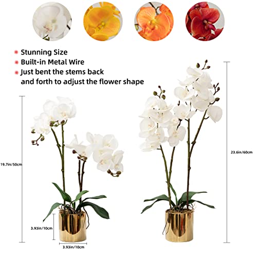 Cxgs Artificial Orchid Flower Plants Real Touch Faux Orchids In Ceramic Vase Realistic White Phalaenopsis Orchid Fake Flower Arrangement Centerpiece Table Decorations (White-Golden) #TOP2