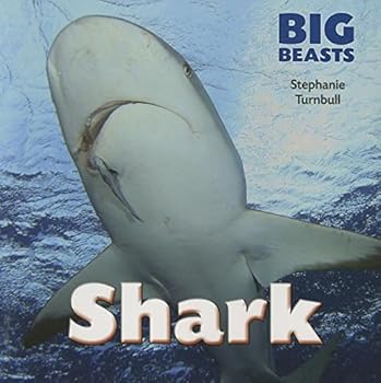 Paperback Shark (Big Beasts) Book