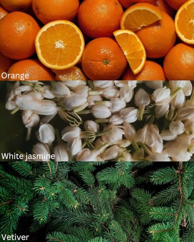 Image of TOXICMALE Terre de + Cedrat boise Perfect Long lasting Men's perfume for daily use | perfumes for men | Gift for him | TMA01 | 50 ml perfume | TM Perfume House