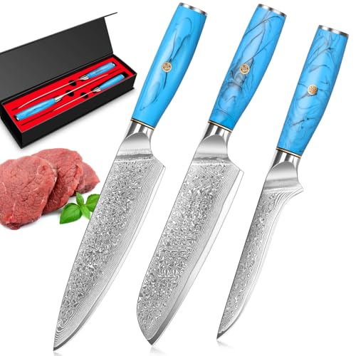Home Safety Set Coltelli da Cucina 3 Pezzi, in 67 Strati di Acciaio Damascato Vg-10, Coltello da Cucina Professionali, Coltello Chef Manico Ergonomico in Resina Naturale, Confezione Regalo