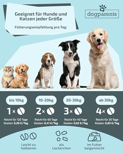 Vitamin B Komplex Hund & Katze [MADE IN GERMANY, ZUCKERFREI & LABORGEPRÜFT] Alle 8 B Vitamine für Hunde B1, B2, B3, B5, B6, B9, B12, K3 unterstützt Nerven, Energie, Fell & Immunsystem (60g (1er Pack))
