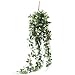 JUSTOYOU Artificial Hanging Rose Vine Plants 5FT Long Fake Flower Greeny Chain Wall Home Room Garden Wedding Indoor Outdoor Decorative (White)