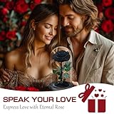 Touloube B0FFMT3FRF lato 2