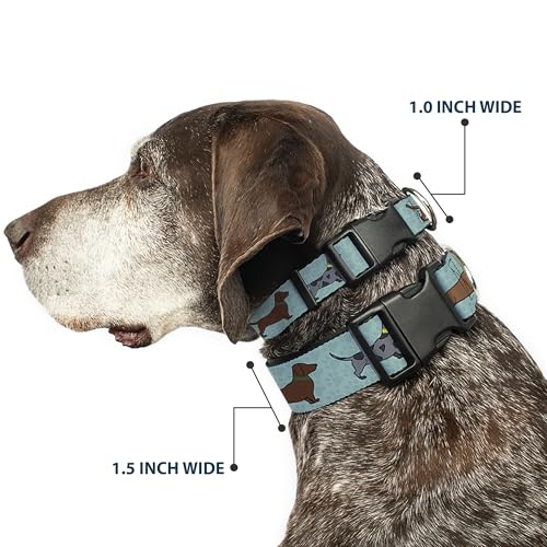 Buckle-Down Dackel-Halsband für 4 Hunde/Pfoten, Kunststoff, 2,5 cm breit, passend für 27,9–43,2 cm Halsumfang, Größe M