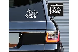 Baby Up in This Bitch Vinyl Decals Car Stickers