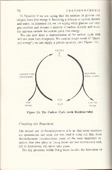 How Did We Find Out About Photosynthesis? (How Did We Find Out ...? Series) - Book #1 of the How Did We Find Out
