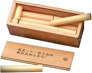 BESPORTBLE 21pcs Wooden Brain Teaser Set