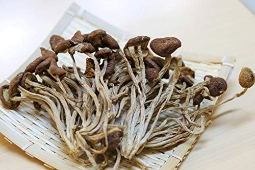 Amazon ヤナギマツタケ 柳松茸 乾燥 茶樹菇 180ｇ 大洋物産 干し椎茸 通販
