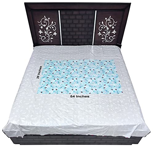 Image of EcoSoft Plastic Sheet,PVC Sheet for Kids,Rubber Sheet for Babies,Bed Wetting Protector(90 x 135 cm) (Bear Blue & Green)