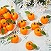 Juexica 48 Pcs Little Cutie Baby Shower Decorations Neutral Fake Orange Birthday Party Supplies Fake Mini Tangerine Artificial